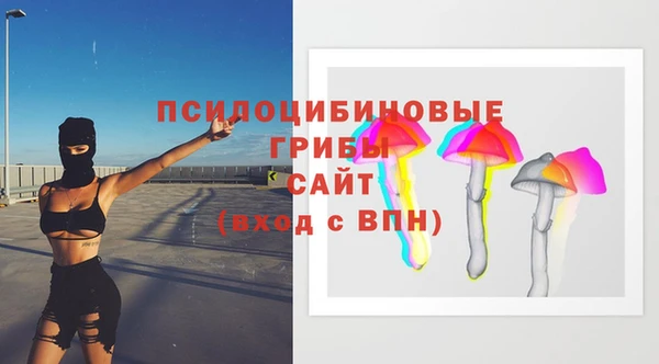 МДПВ Дмитриев