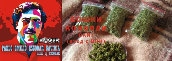 мет Дмитров