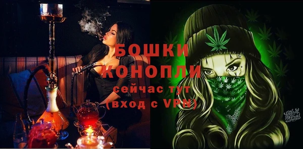мет Дмитров