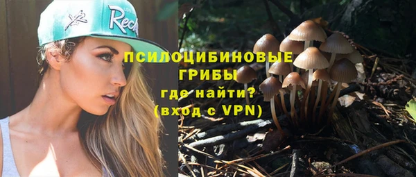 мет Дмитров