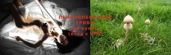 мет Дмитров