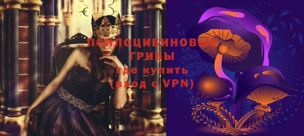 дмт Дмитровск