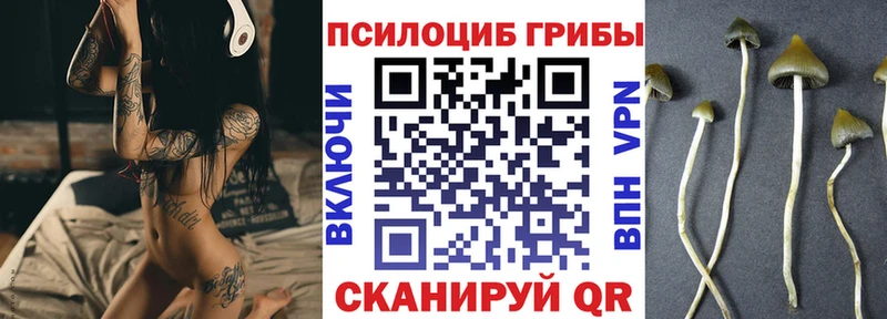 Купить  Пермь  Галлюциногенные грибы Psilocybine cubensis 